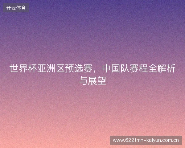 世界杯亚洲区预选赛，中国队赛程全解析与展望
